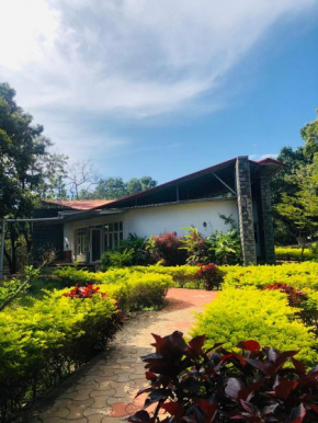 The Tamarai Yelagiri